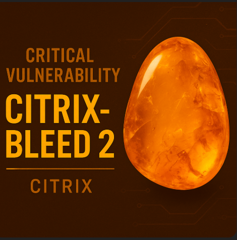 Vulnerabilidad crítica "CitrixBleed 2" - CVE-2025-5777